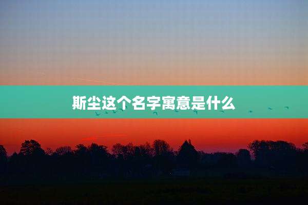 斯尘这个名字寓意是什么