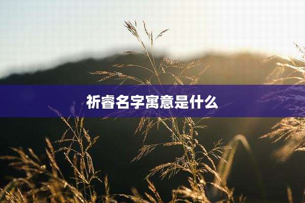 祈睿名字寓意是什么