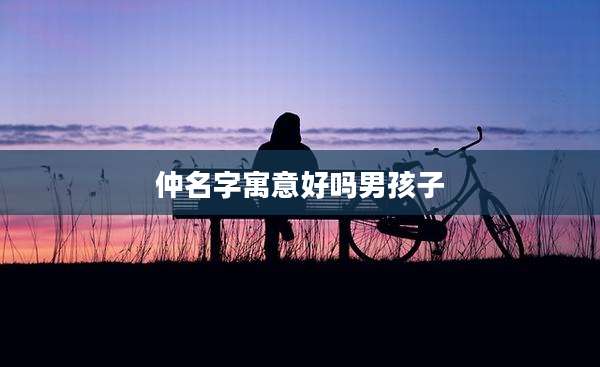 仲名字寓意好吗男孩子