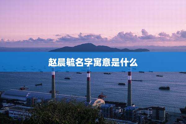 赵晨毓名字寓意是什么