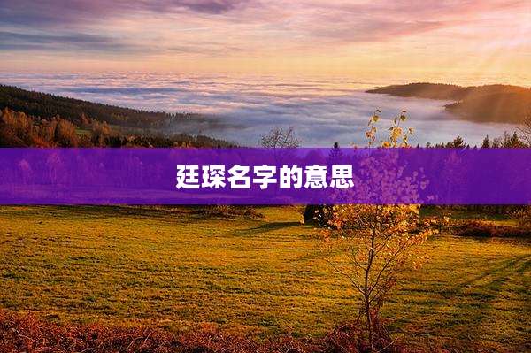 廷琛名字的意思