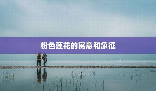 粉色莲花的寓意和象征