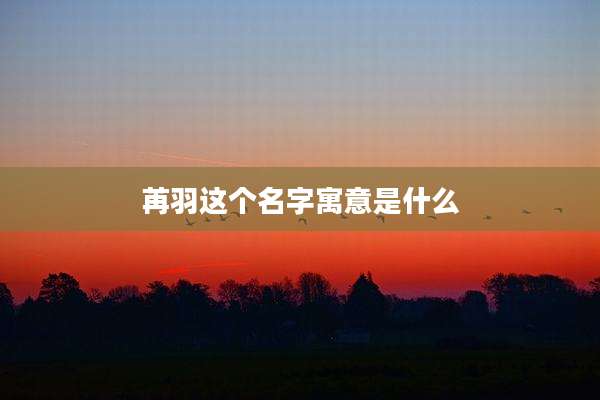 苒羽这个名字寓意是什么