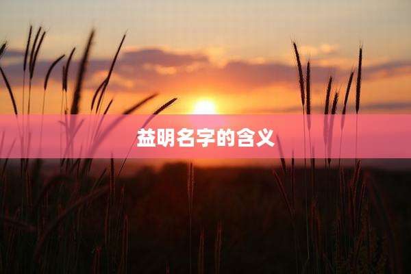 益明名字的含义