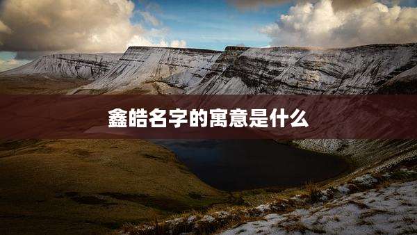 鑫皓名字的寓意是什么