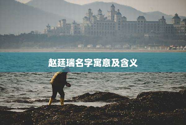 赵廷瑞名字寓意及含义