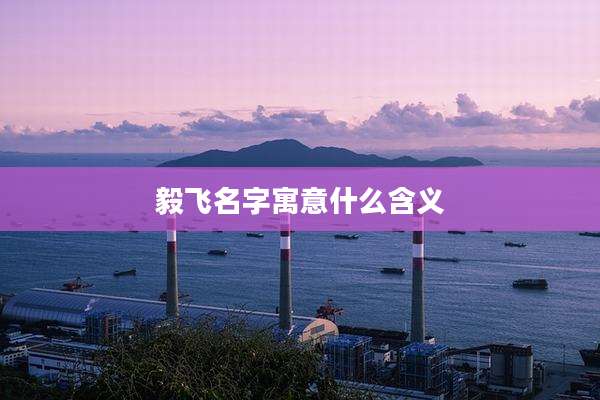 毅飞名字寓意什么含义