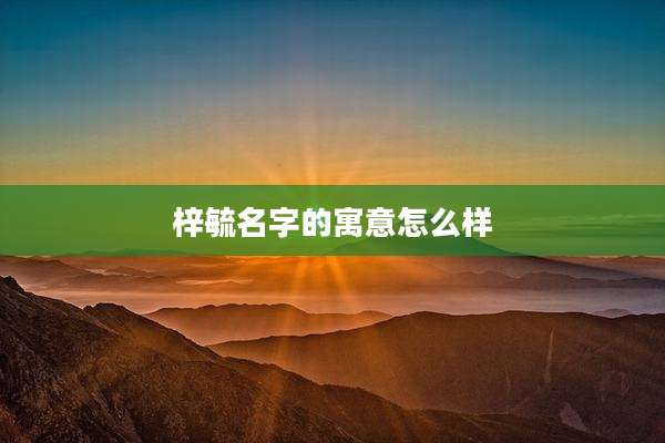 梓毓名字的寓意怎么样