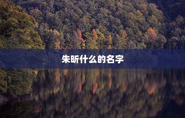 朱昕什么的名字