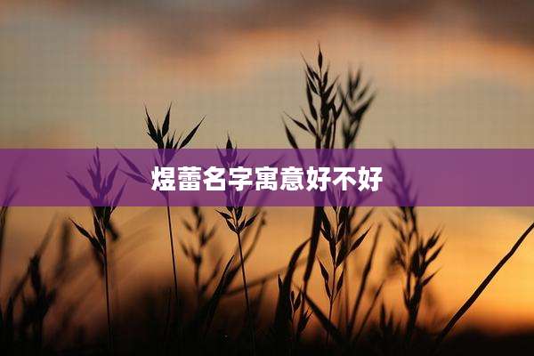 煜蕾名字寓意好不好