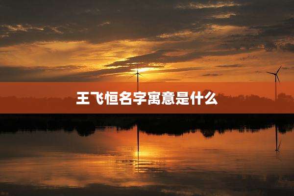 王飞恒名字寓意是什么