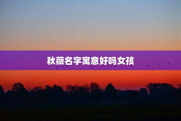 秋薇名字寓意好吗女孩