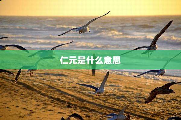 仁元是什么意思