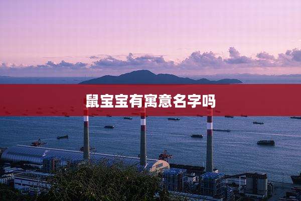 鼠宝宝有寓意名字吗