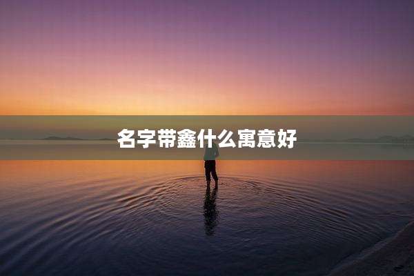 名字带鑫什么寓意好