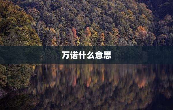 万诺什么意思