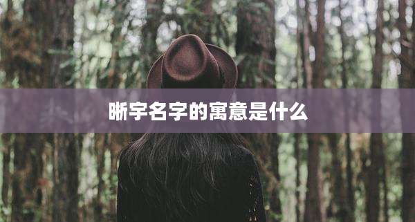 晰宇名字的寓意是什么