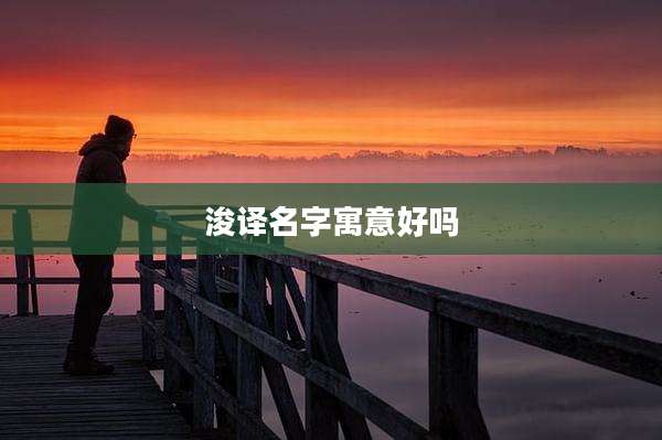 浚译名字寓意好吗