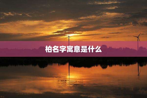 柏名字寓意是什么