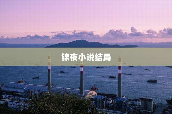 锦夜小说结局