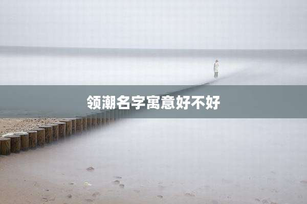 领潮名字寓意好不好