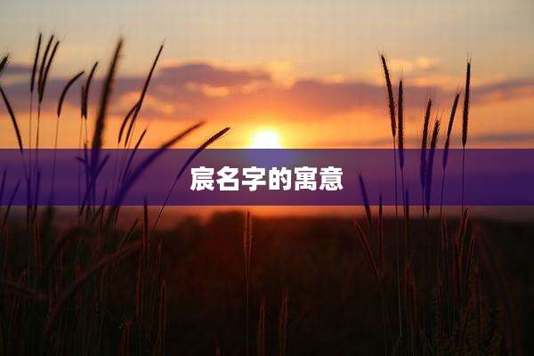 宸名字的寓意