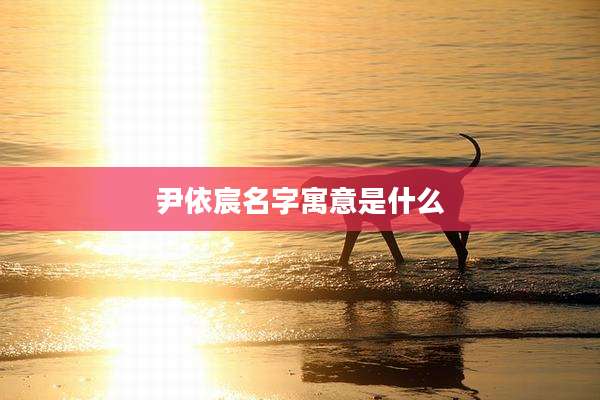 尹依宸名字寓意是什么