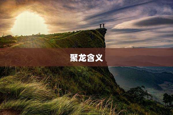 聚龙含义