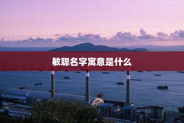 敏聪名字寓意是什么