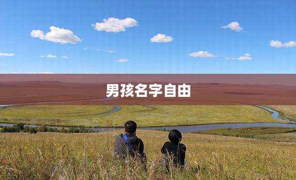 男孩名字自由