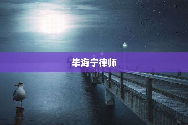 毕海宁律师