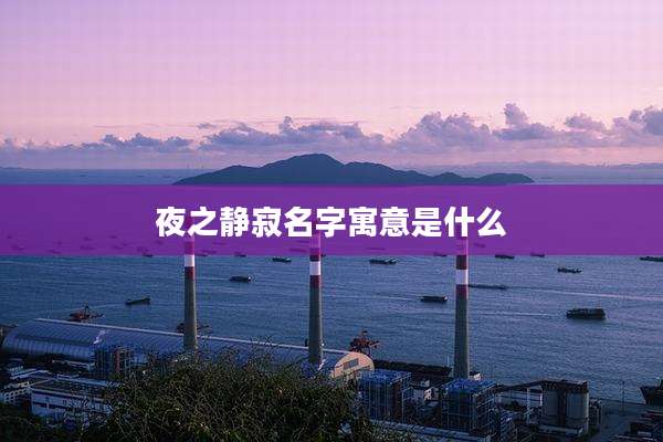 夜之静寂名字寓意是什么