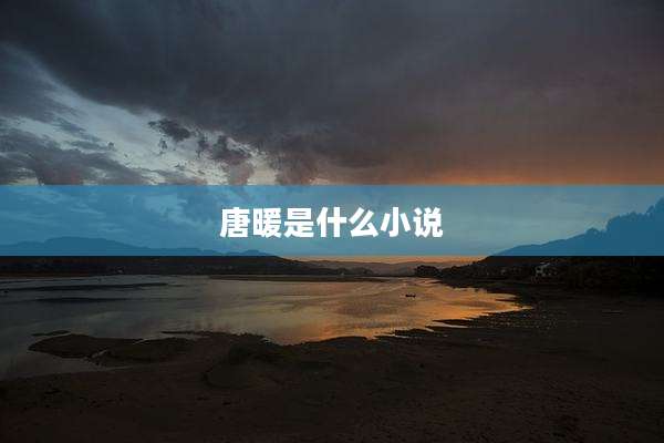 唐暖是什么小说