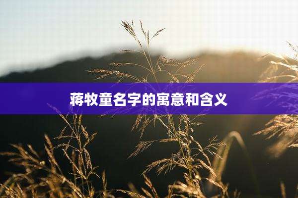 蒋牧童名字的寓意和含义