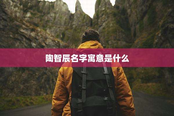陶智辰名字寓意是什么