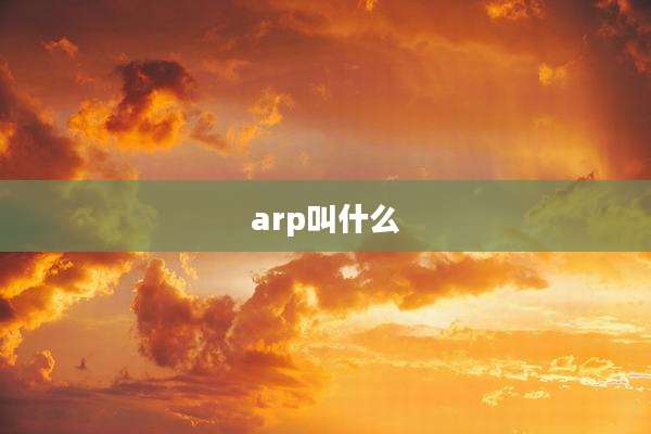 arp叫什么