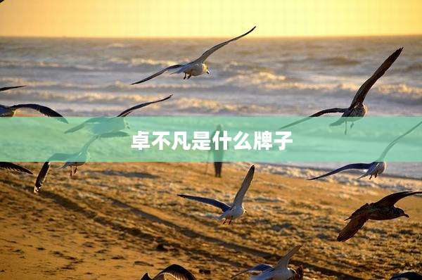 卓不凡是什么牌子