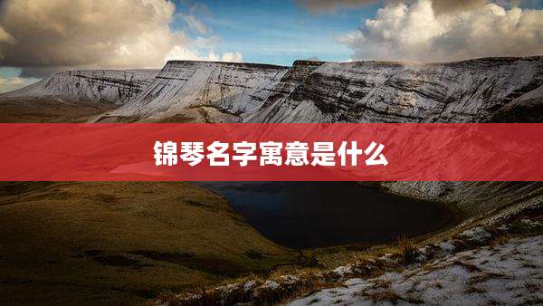 锦琴名字寓意是什么