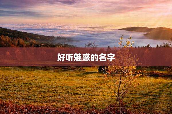好听魅惑的名字