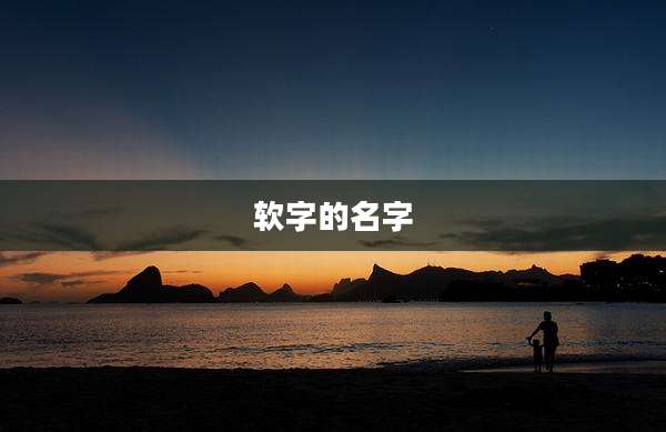 软字的名字
