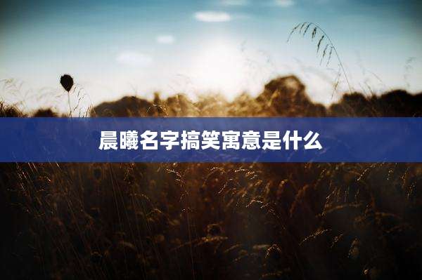 晨曦名字搞笑寓意是什么