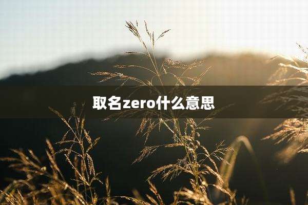 取名zero什么意思