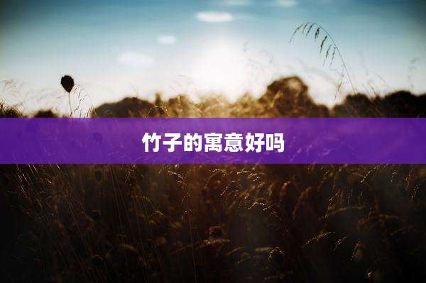 竹子的寓意好吗