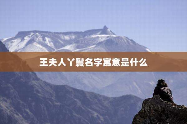 王夫人丫鬟名字寓意是什么
