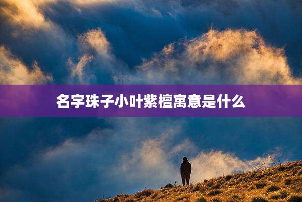 名字珠子小叶紫檀寓意是什么