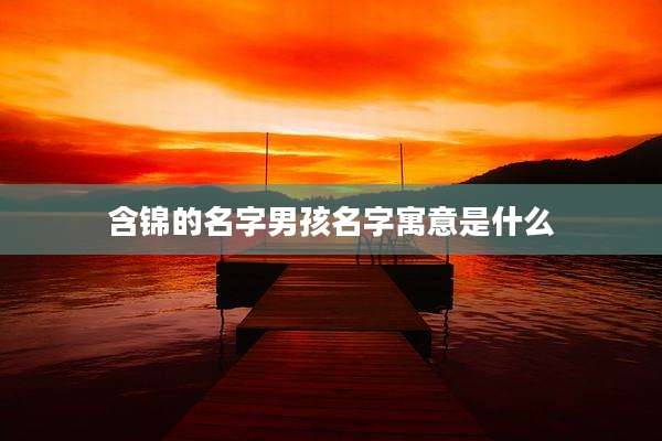 含锦的名字男孩名字寓意是什么