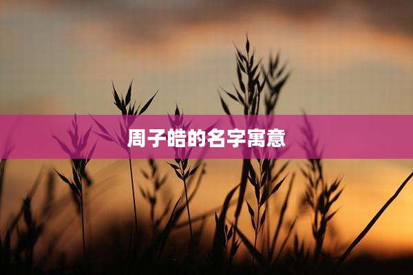 周子皓的名字寓意
