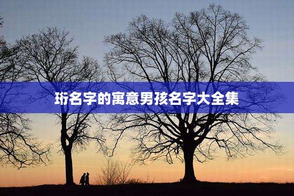 珩名字的寓意男孩名字大全集