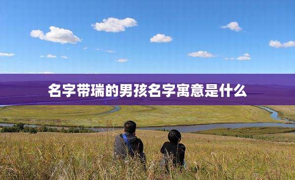 名字带瑞的男孩名字寓意是什么