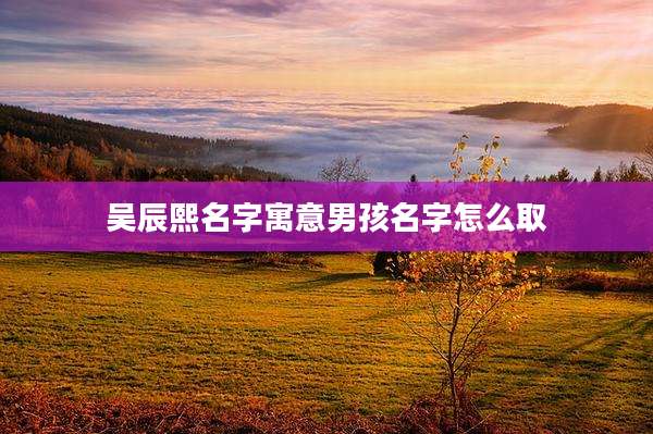 吴辰熙名字寓意男孩名字怎么取